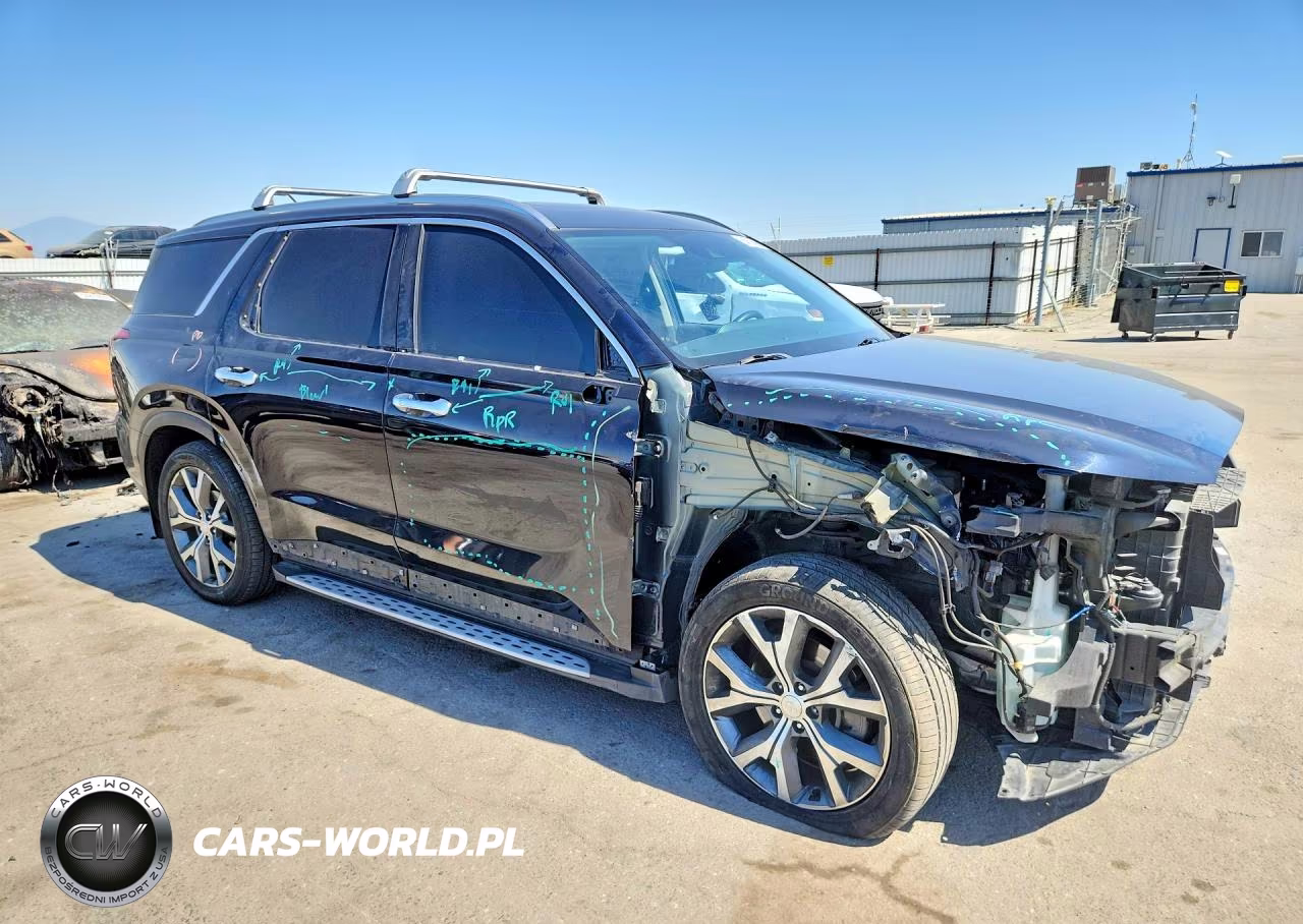 2020 Hyundai Palisade Sel VIN:KM8R34HE7LU170712 - 4