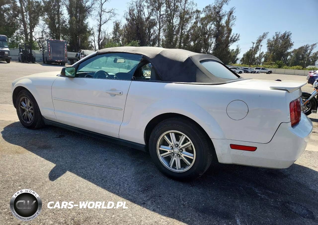 2008 Ford Mustang VIN:1ZVHT84N485158917 - 2
