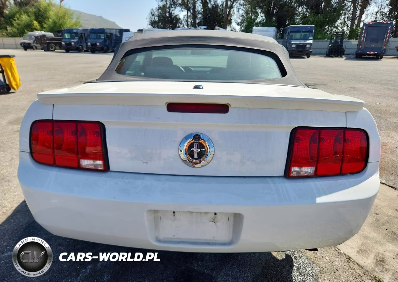 2008 Ford Mustang VIN:1ZVHT84N485158917 - 6