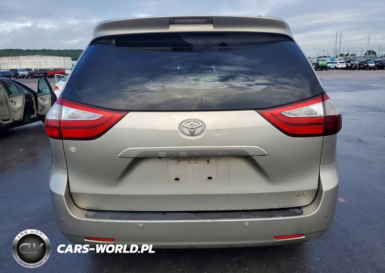 2017 Toyota Sienna Xle 8-Passenger VIN:5TDYZ3DC6HS882945 - 6