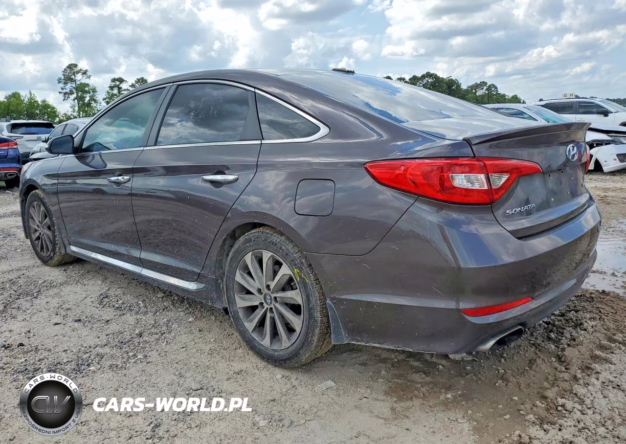 2016 Hyundai Sonata Sport VIN:5NPE34AFXGH313206 - 2