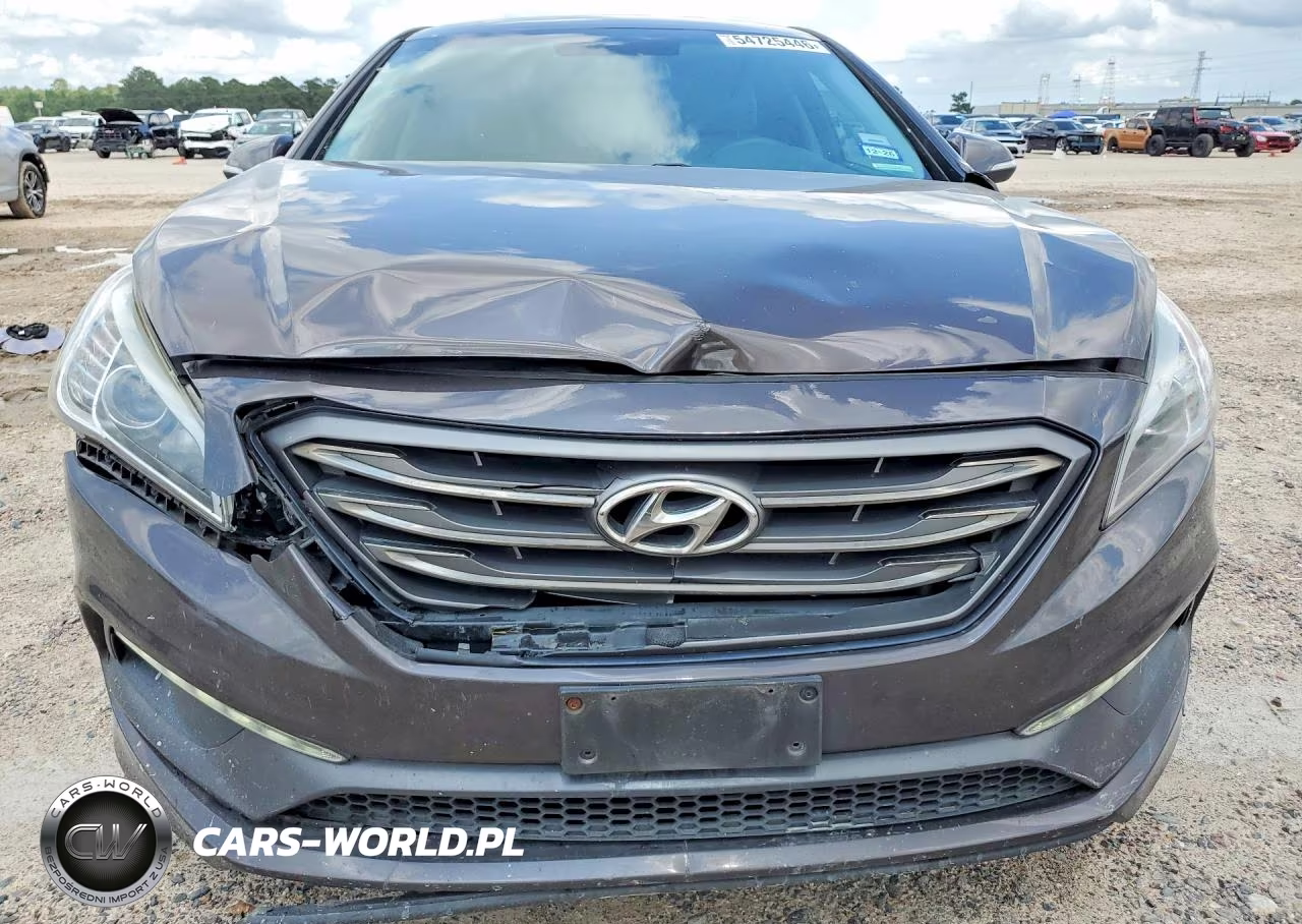 2016 Hyundai Sonata Sport VIN:5NPE34AFXGH313206 - 5