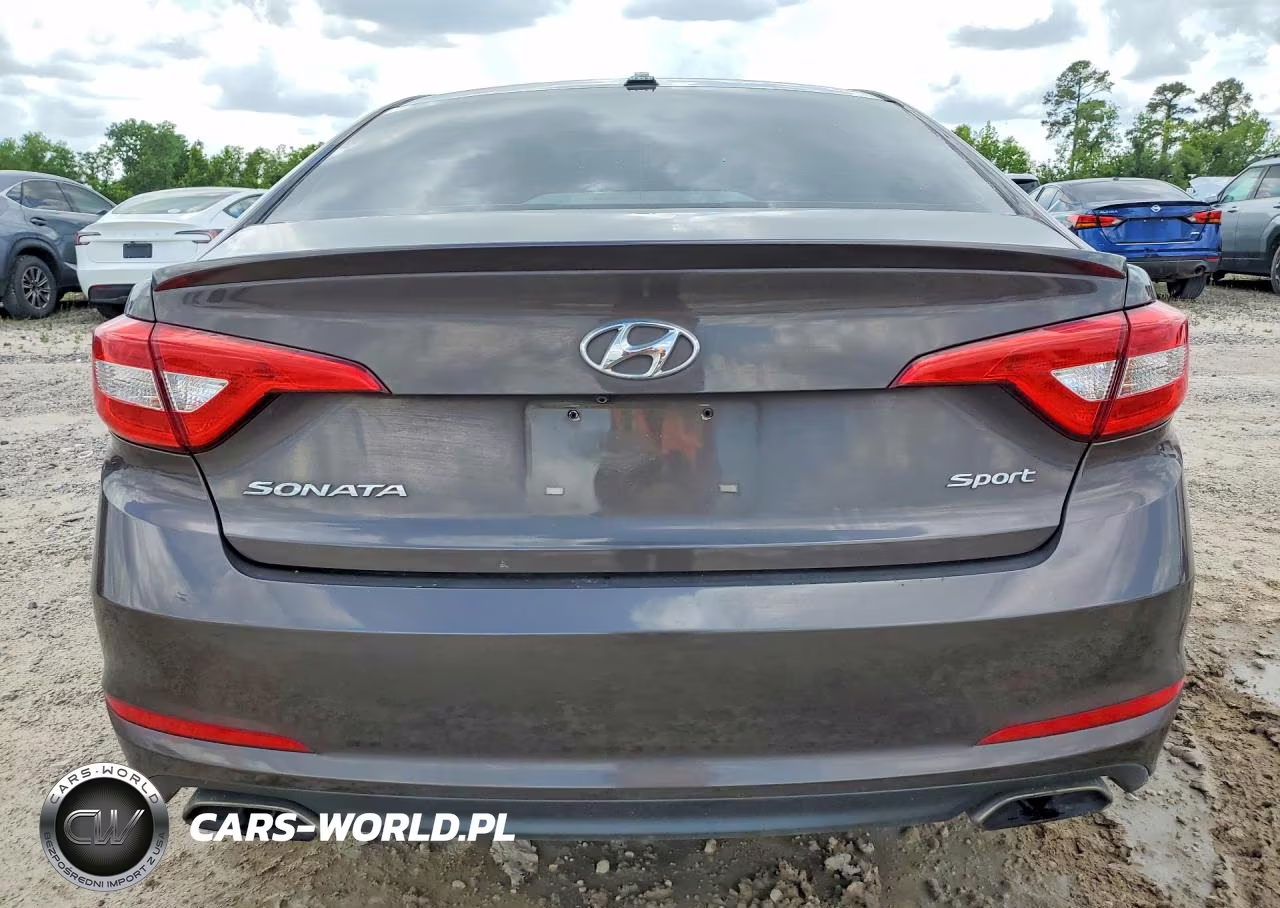 2016 Hyundai Sonata Sport VIN:5NPE34AFXGH313206 - 6
