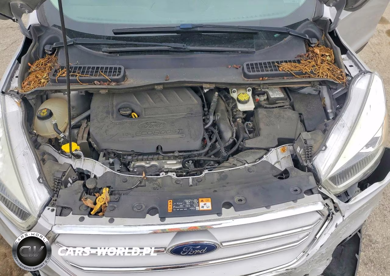 2019 Ford Escape Sel VIN:1FMCU9HD1KUC00180 - 12