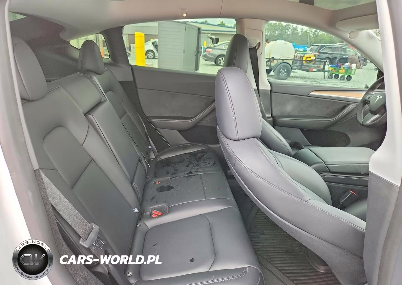 2024 Tesla Model Y VIN:7SAYGDEF5RA307245 - 10