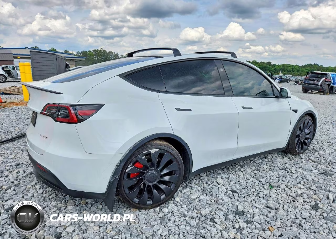 2024 Tesla Model Y VIN:7SAYGDEF5RA307245 - 3