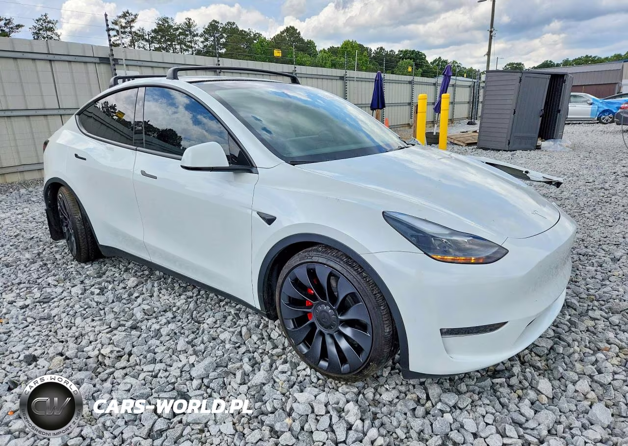 2024 Tesla Model Y VIN:7SAYGDEF5RA307245 - 4