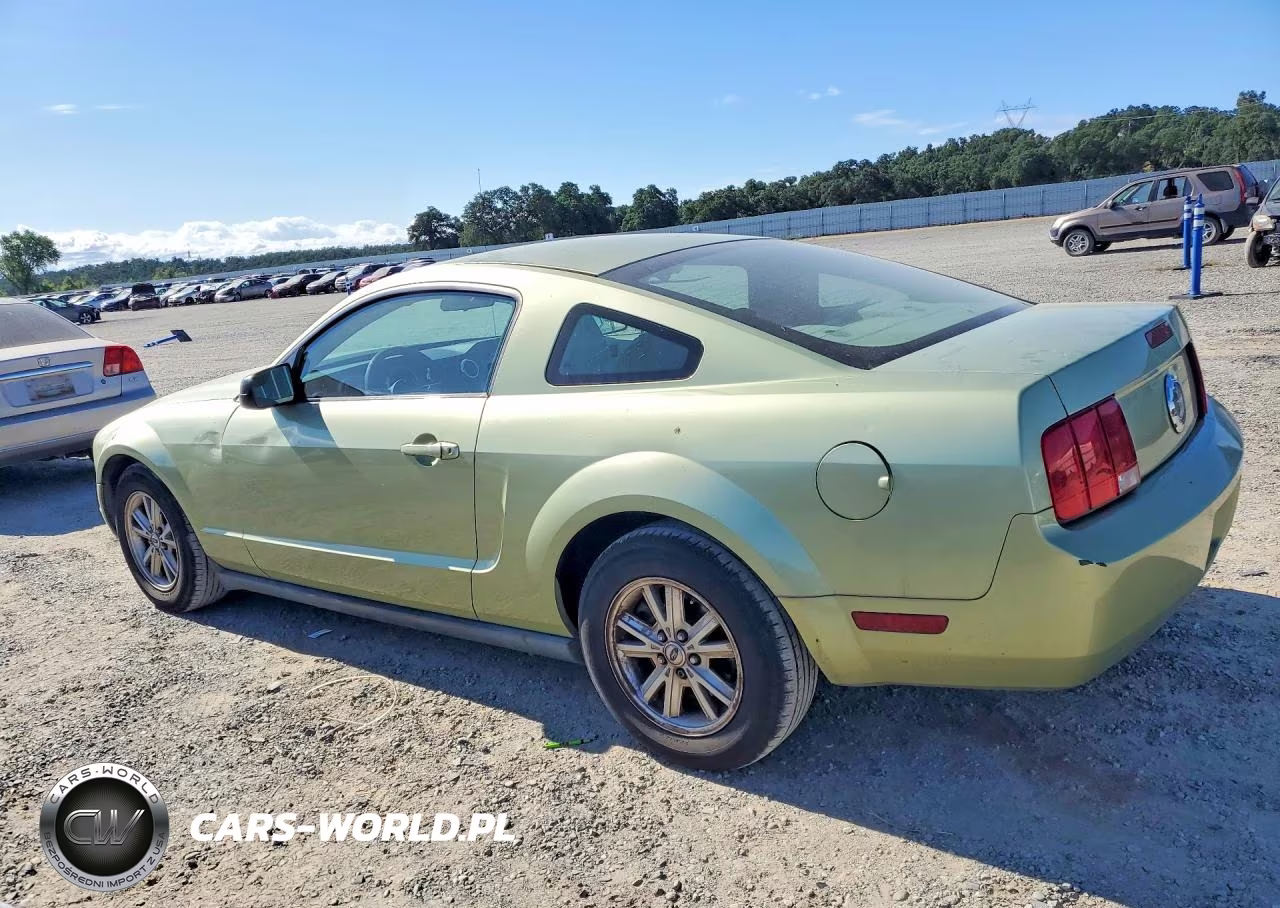 2005 Ford Mustang VIN:1ZVFT80N055168174 - 2