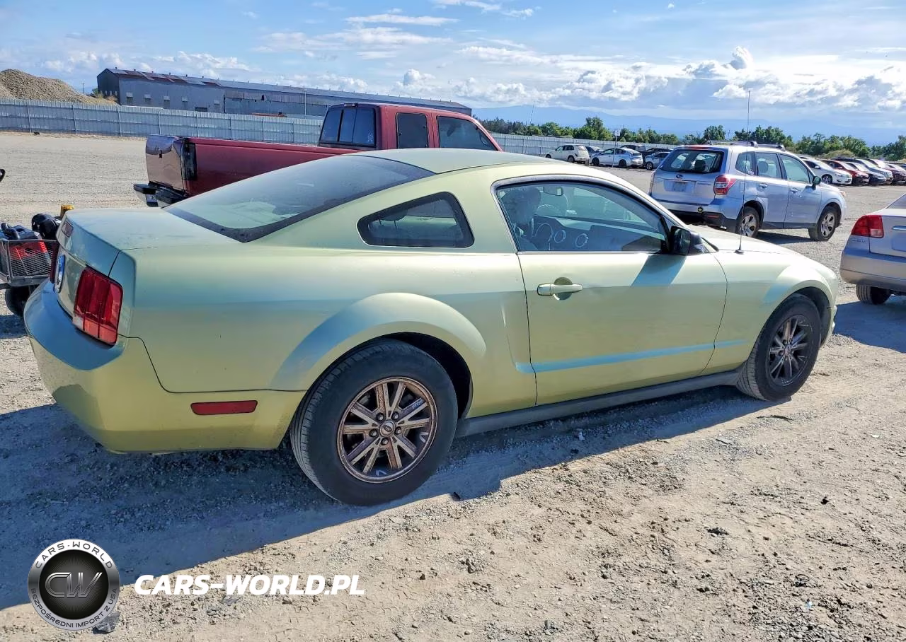 2005 Ford Mustang VIN:1ZVFT80N055168174 - 3