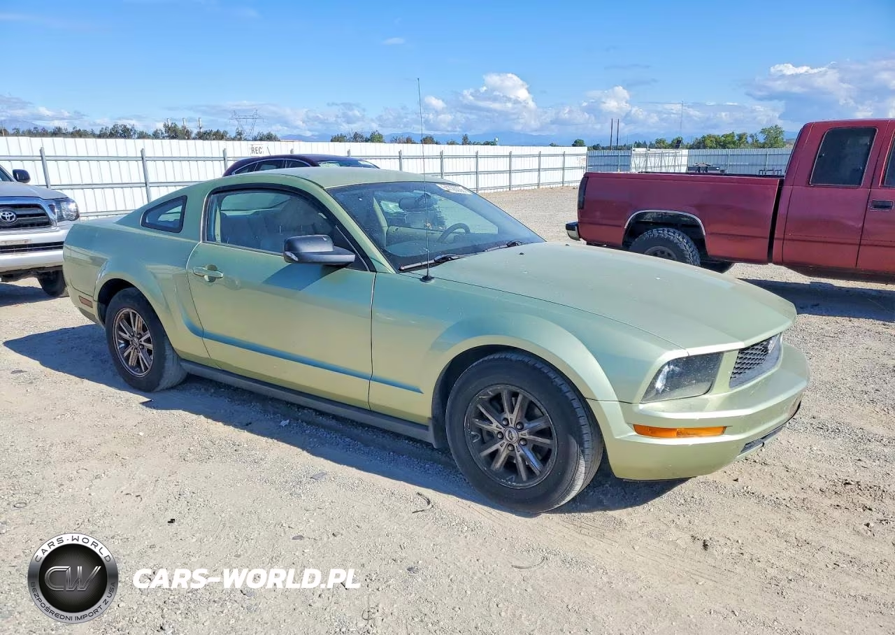 2005 Ford Mustang VIN:1ZVFT80N055168174 - 4
