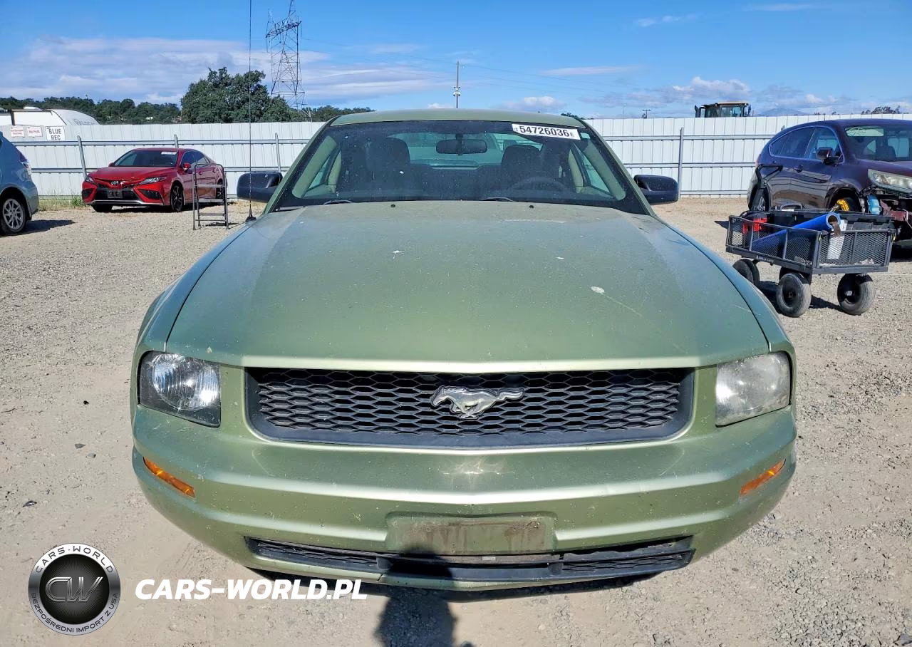 2005 Ford Mustang VIN:1ZVFT80N055168174 - 5