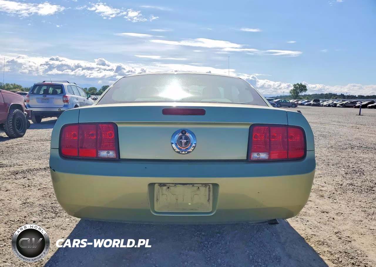 2005 Ford Mustang VIN:1ZVFT80N055168174 - 6