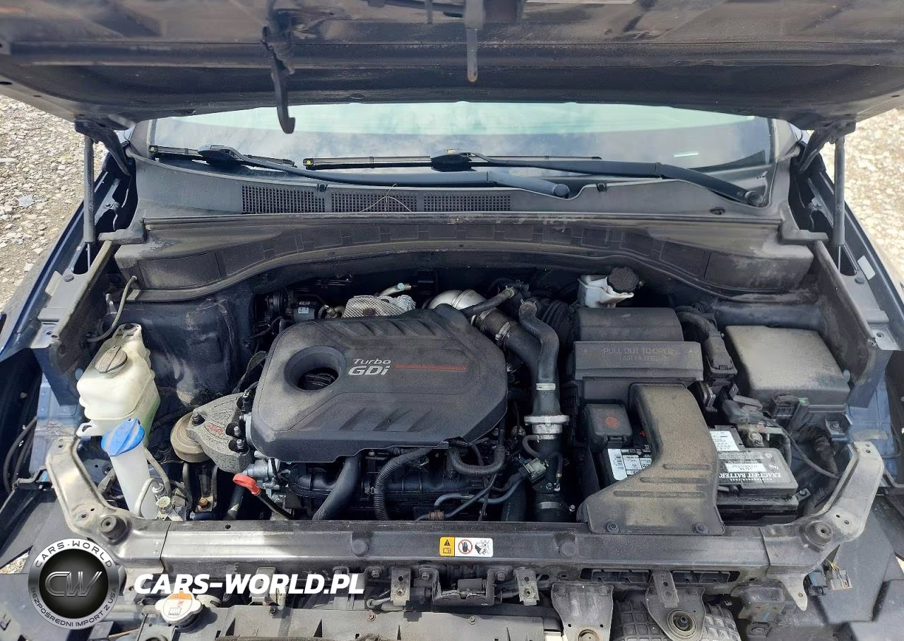 2018 Hyundai Santa Fe Sport 2.0T Ultimate VIN:5XYZWDLA5JG565647 - 12