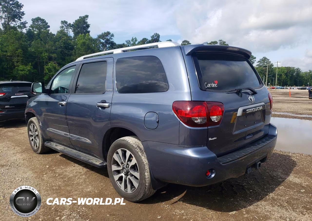 2020 Toyota Sequoia Limited VIN:5TDKY5G19LS075133 - 2