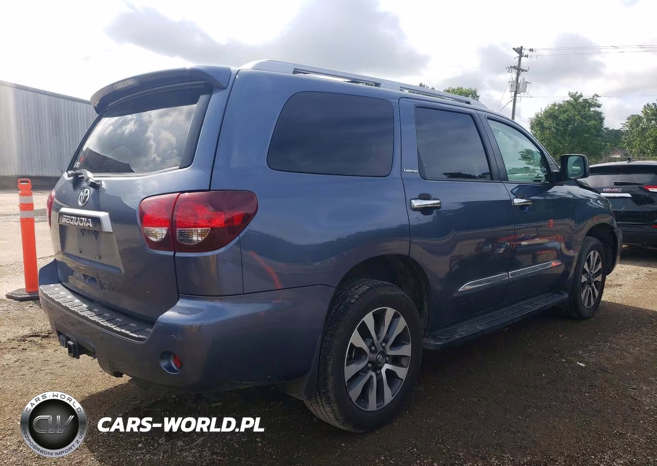 2020 Toyota Sequoia Limited VIN:5TDKY5G19LS075133 - 3