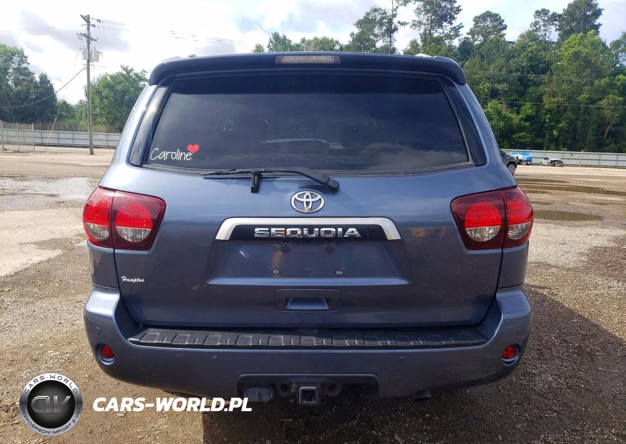 2020 Toyota Sequoia Limited VIN:5TDKY5G19LS075133 - 6