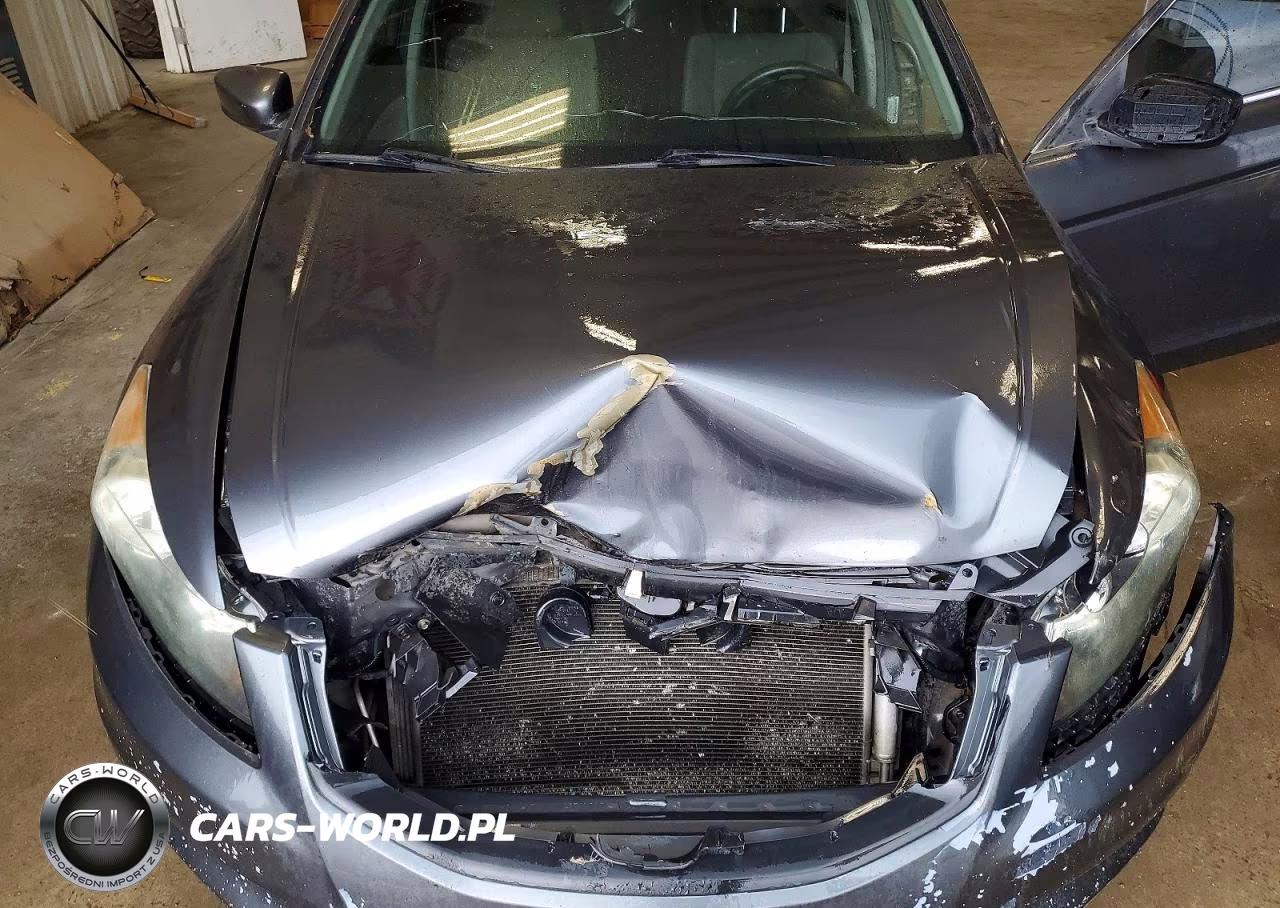 2011 Honda Accord Lx VIN:1HGCP2F36BA080800 - 11