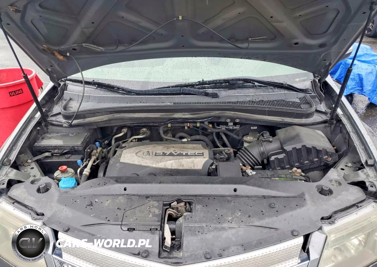 2009 Acura Mdx Technology VIN:2HNYD28419H501928 - 12