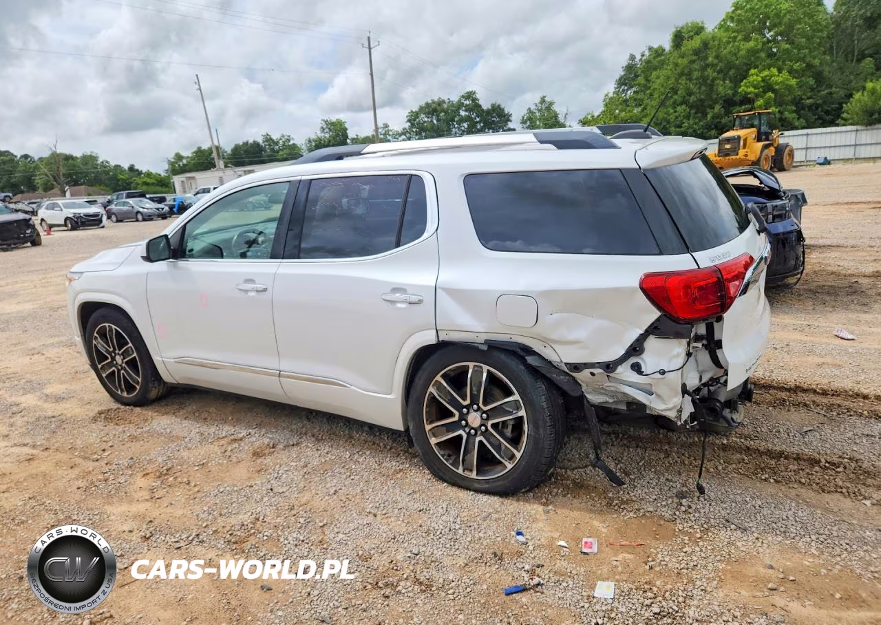 2019 GMC Acadia Denali VIN:1GKKNPLS9KZ117529 - 2
