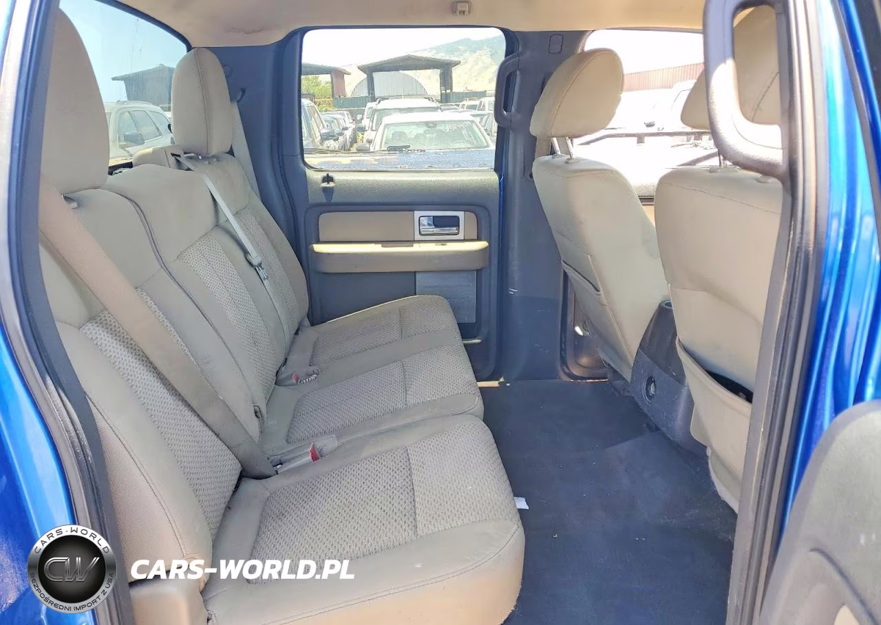 2010 Ford F150 VIN:1FTFW1CV4AFA02726 - 10