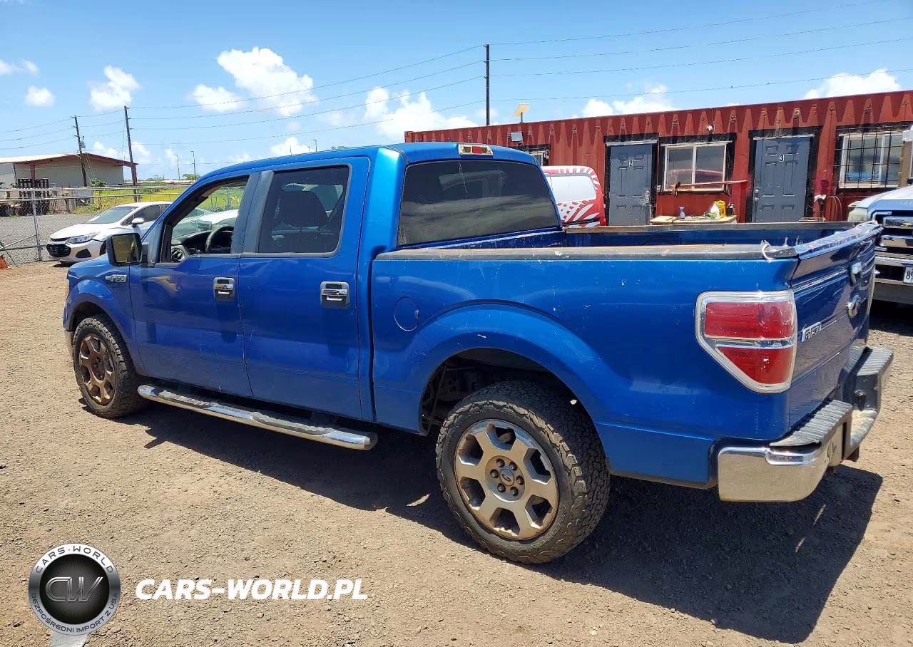 2010 Ford F150 VIN:1FTFW1CV4AFA02726 - 2