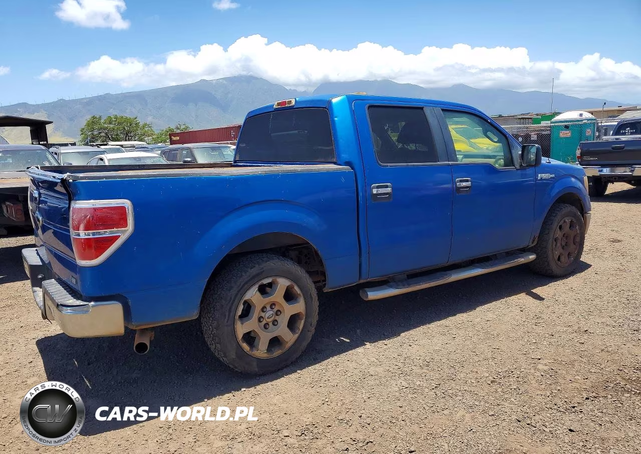 2010 Ford F150 VIN:1FTFW1CV4AFA02726 - 3