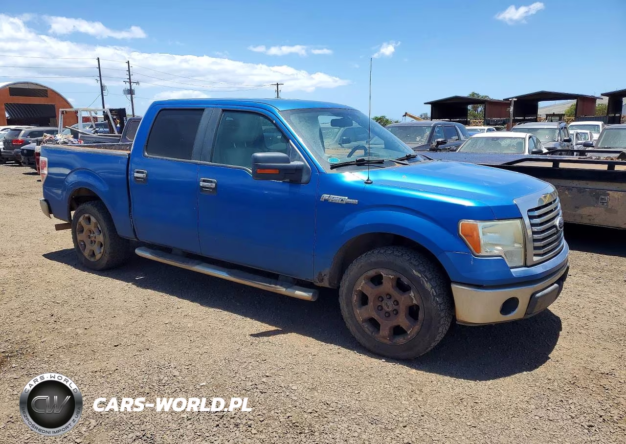 2010 Ford F150 VIN:1FTFW1CV4AFA02726 - 4