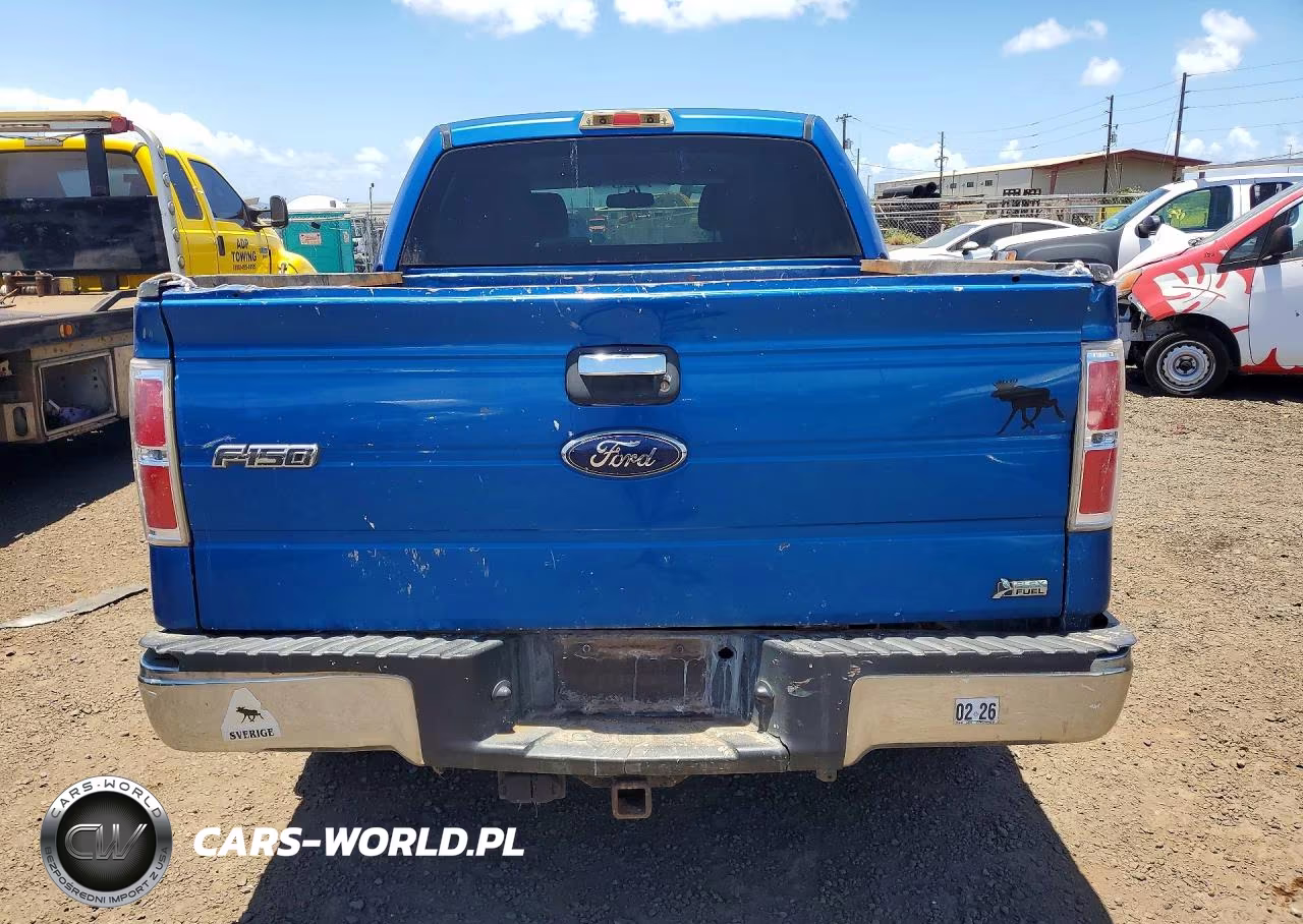 2010 Ford F150 VIN:1FTFW1CV4AFA02726 - 6