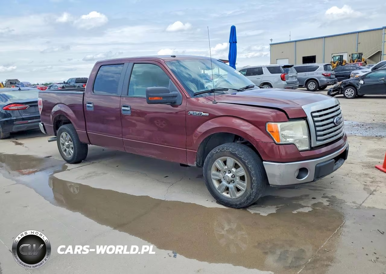 2010 Ford F150 Supercrew VIN:1FTFW1CV1AFA77285 - 4