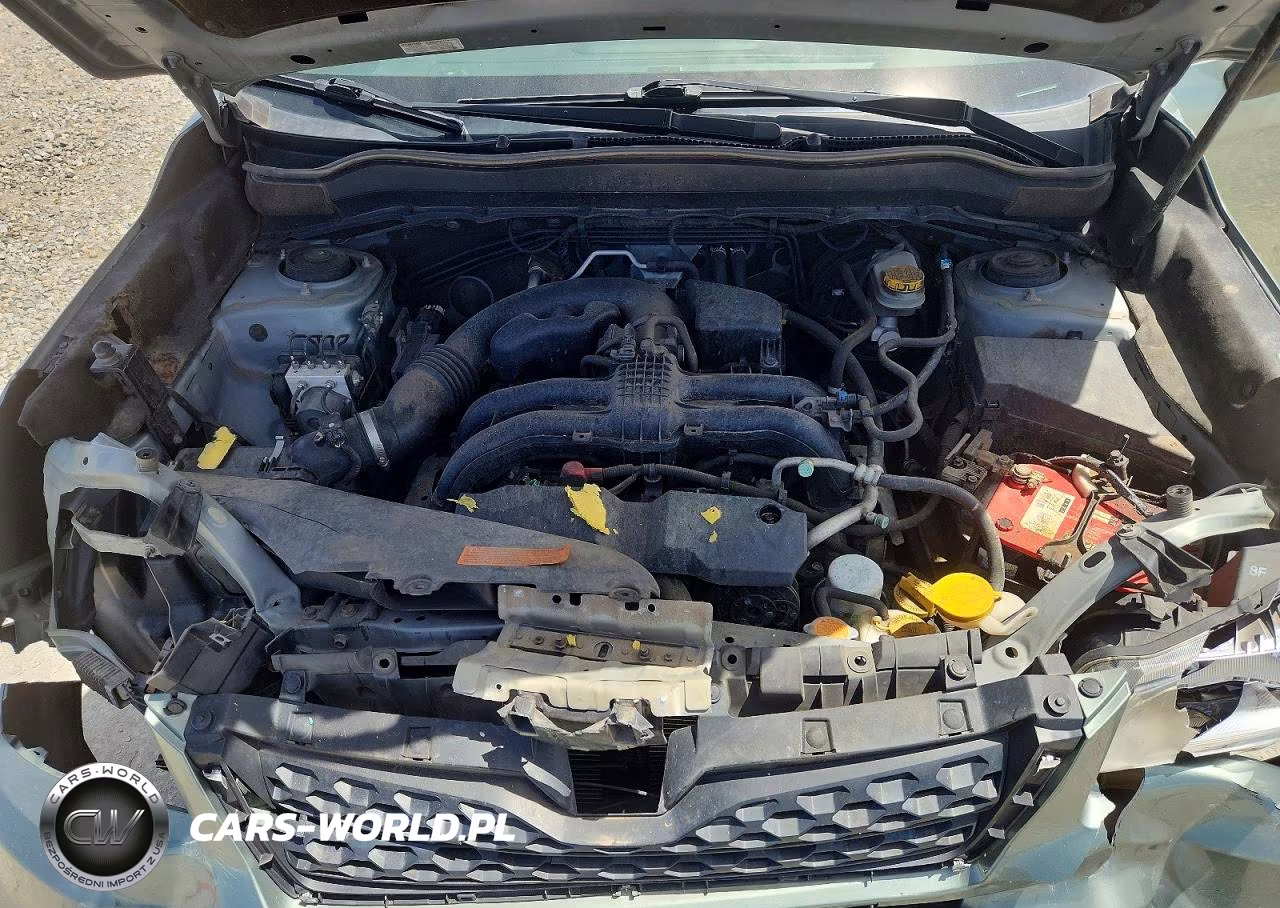 2014 Subaru Forester 2.5I Premium VIN:JF2SJAEC2EH466327 - 12
