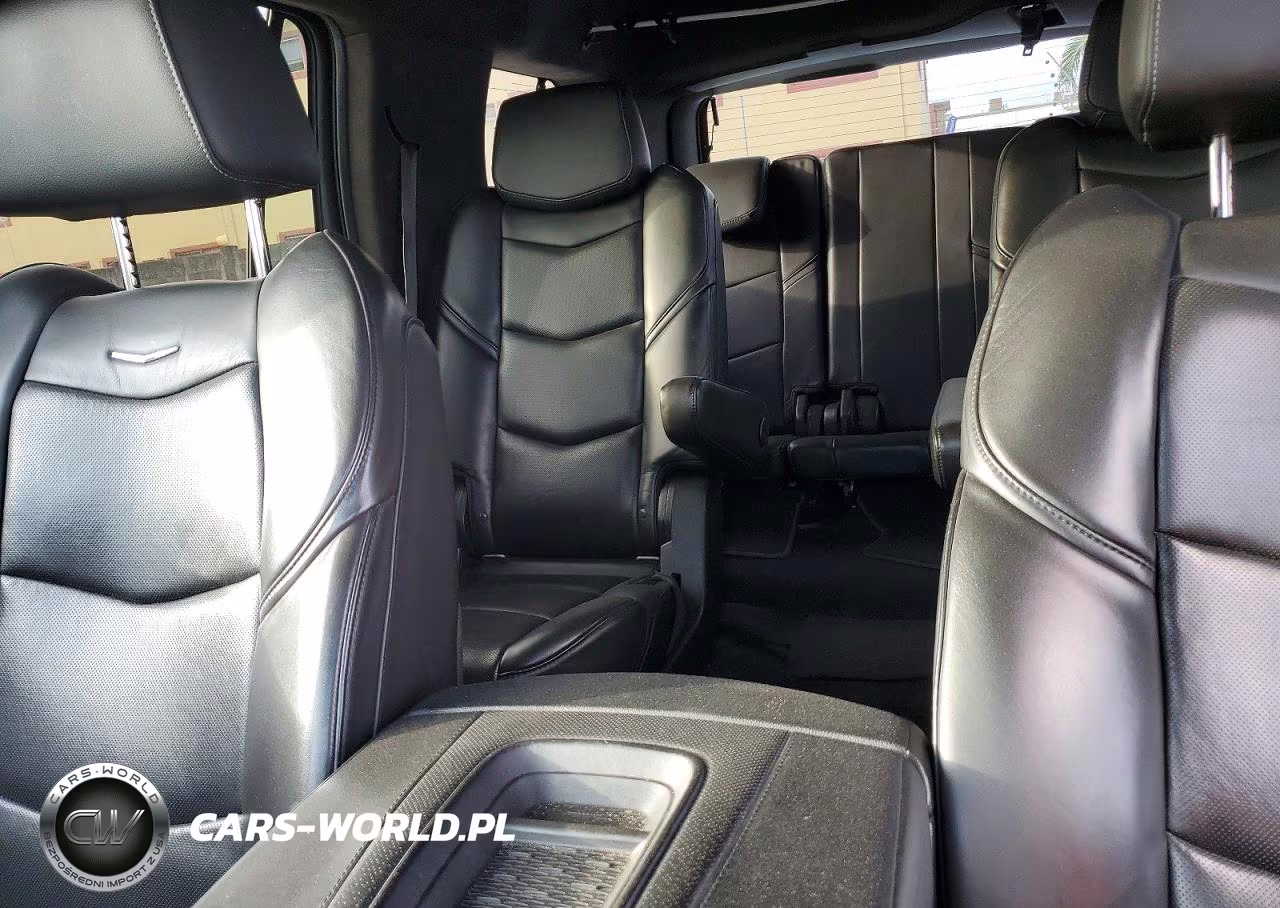 2015 Cadillac Escalade Platinum VIN:1GYS4PKJ4FR733999 - 10