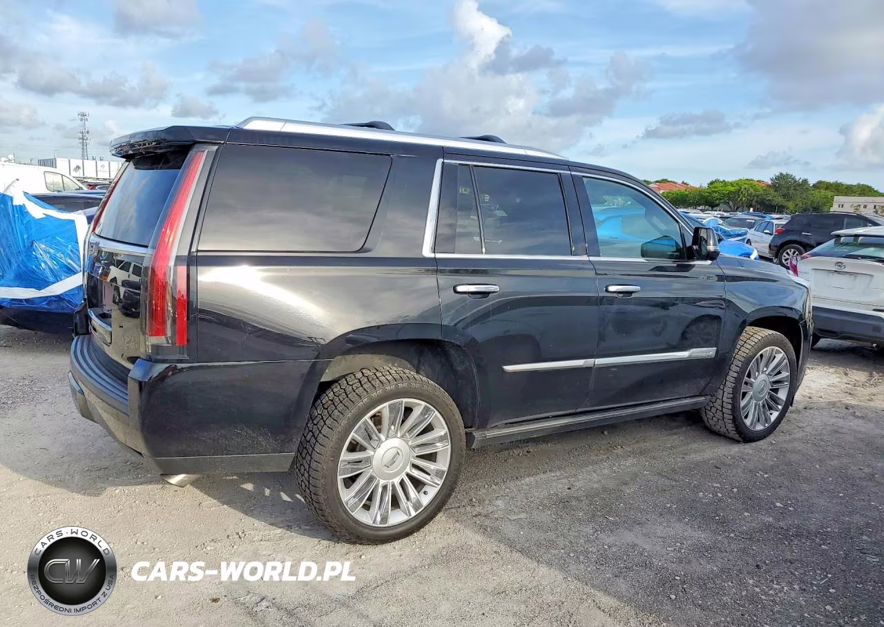 2015 Cadillac Escalade Platinum VIN:1GYS4PKJ4FR733999 - 3