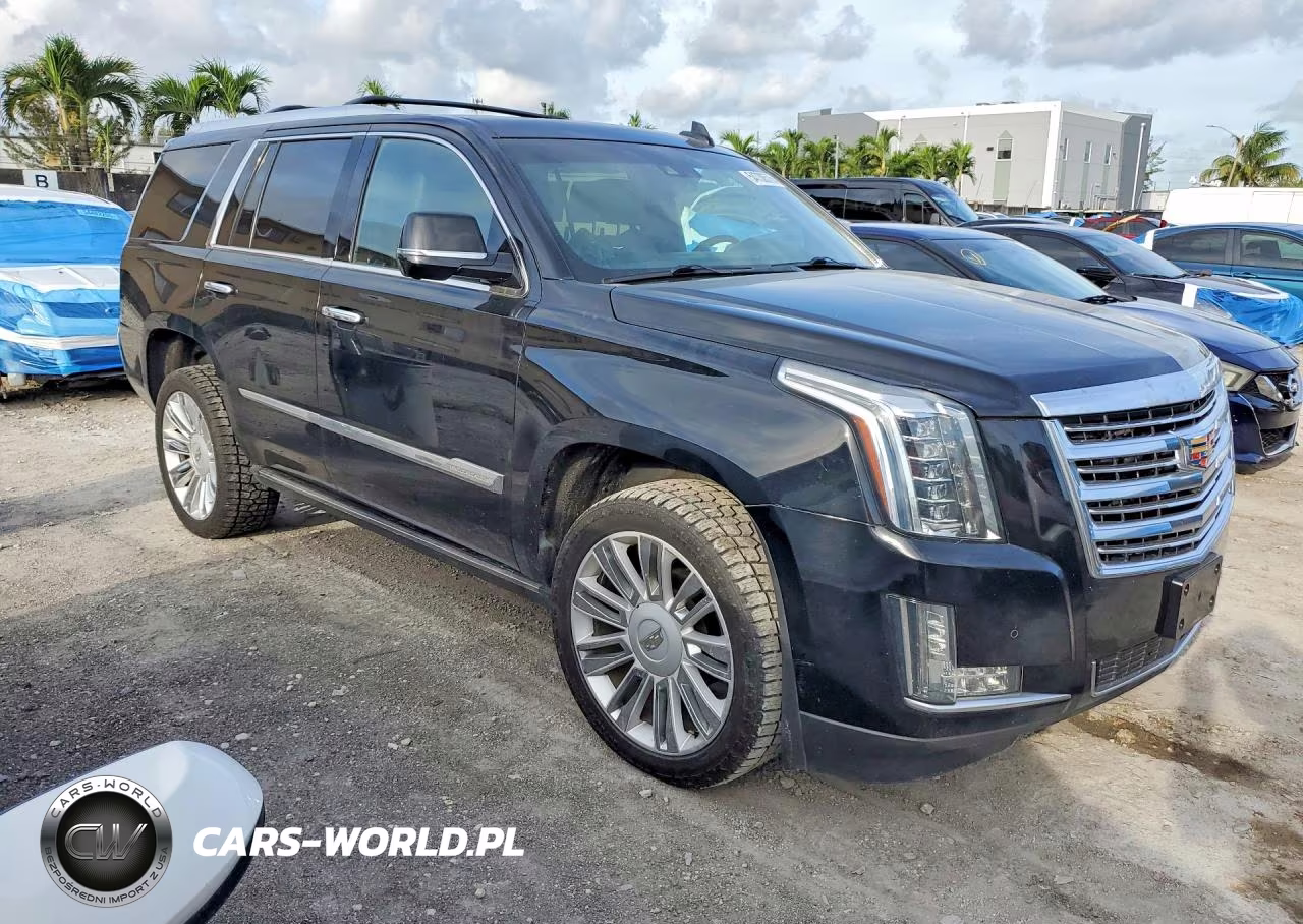 2015 Cadillac Escalade Platinum VIN:1GYS4PKJ4FR733999 - 4