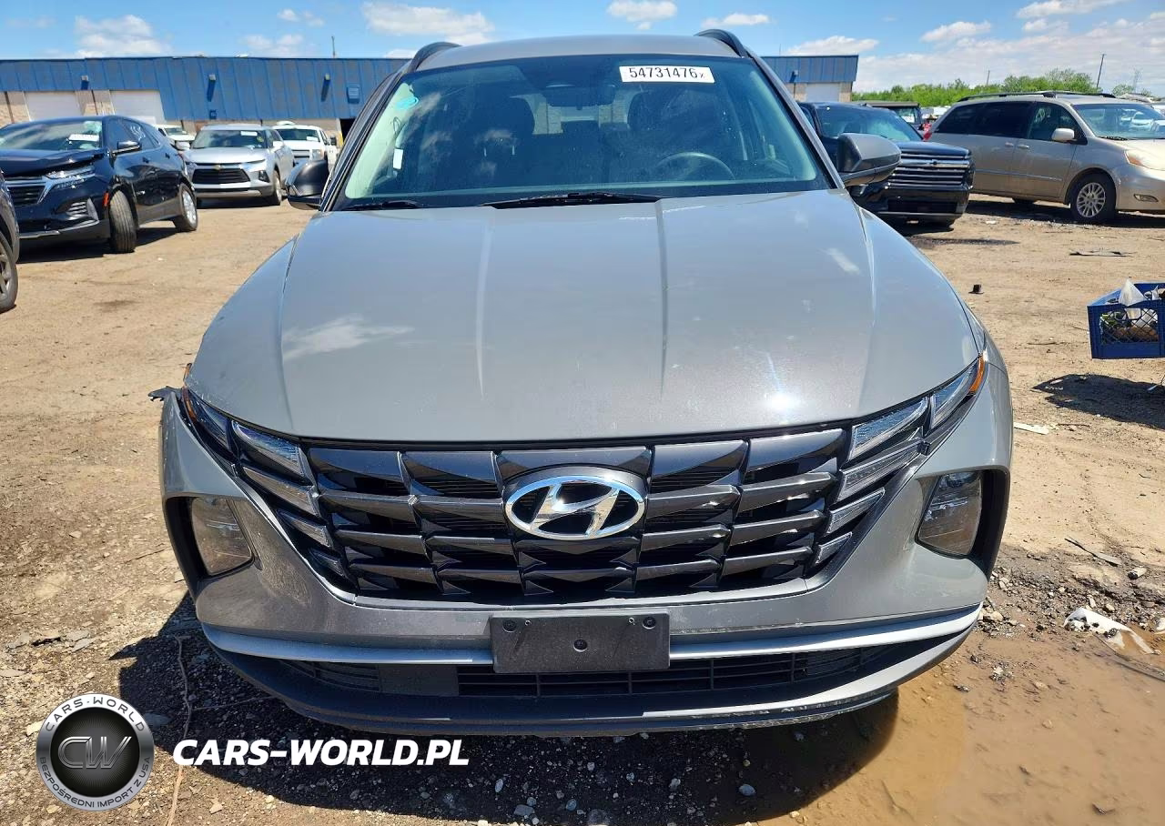 2024 Hyundai Tucson Sel VIN:5NMJB3DE1RH421308 - 5