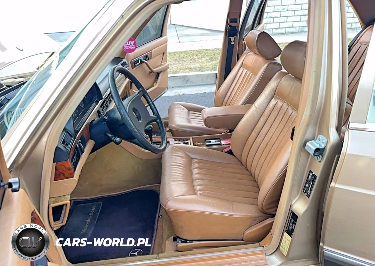 1983 Mercedes-Benz 380 380Sel VIN:WDBCA33A5DB041393 - 11