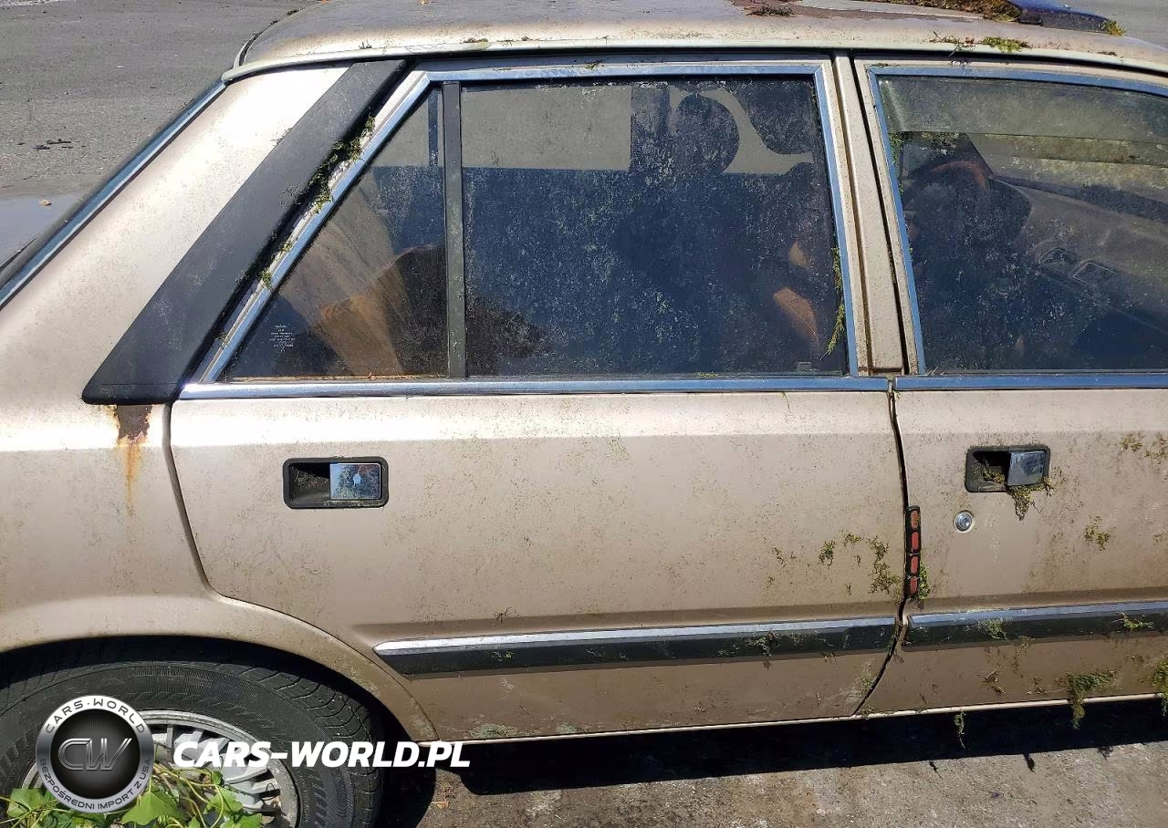 1981 Peugeot 505 S VIN:VF3BA4167BS310563 - 10
