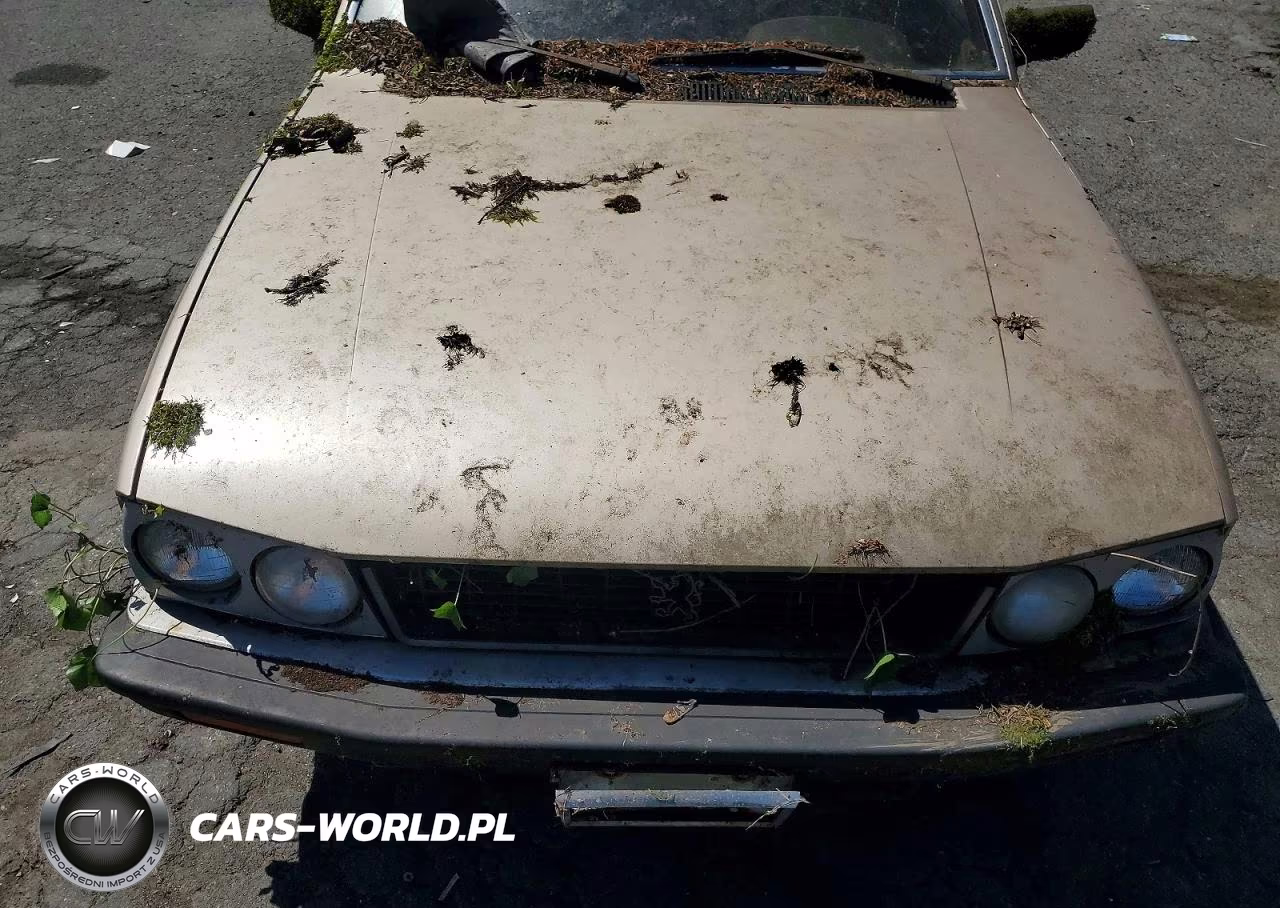 1981 Peugeot 505 S VIN:VF3BA4167BS310563 - 11