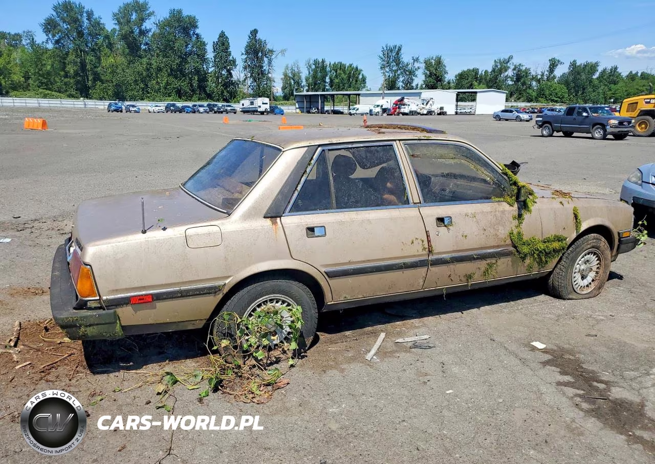 1981 Peugeot 505 S VIN:VF3BA4167BS310563 - 3