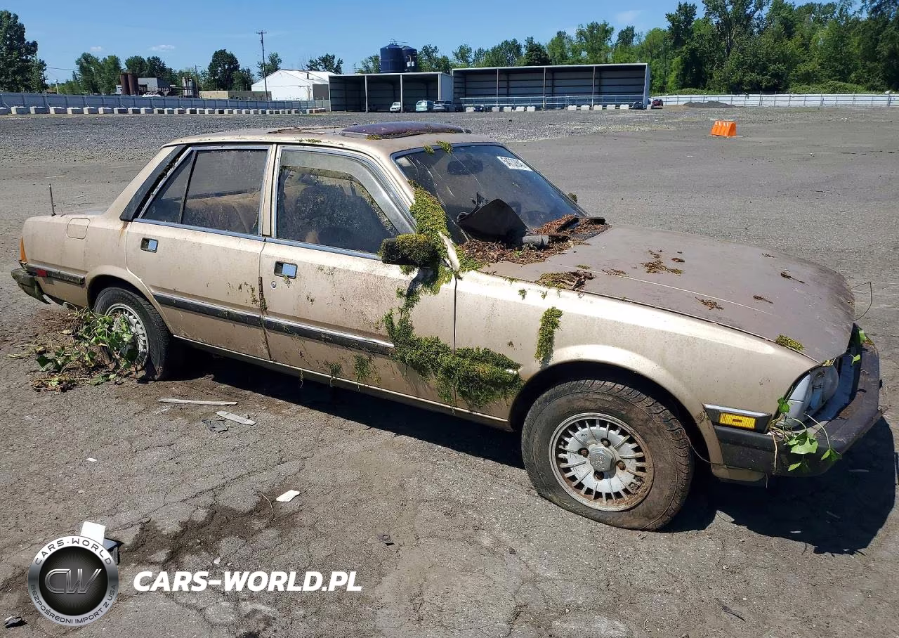 1981 Peugeot 505 S VIN:VF3BA4167BS310563 - 4