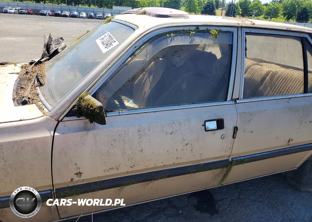 1981 Peugeot 505 S VIN:VF3BA4167BS310563 - 7