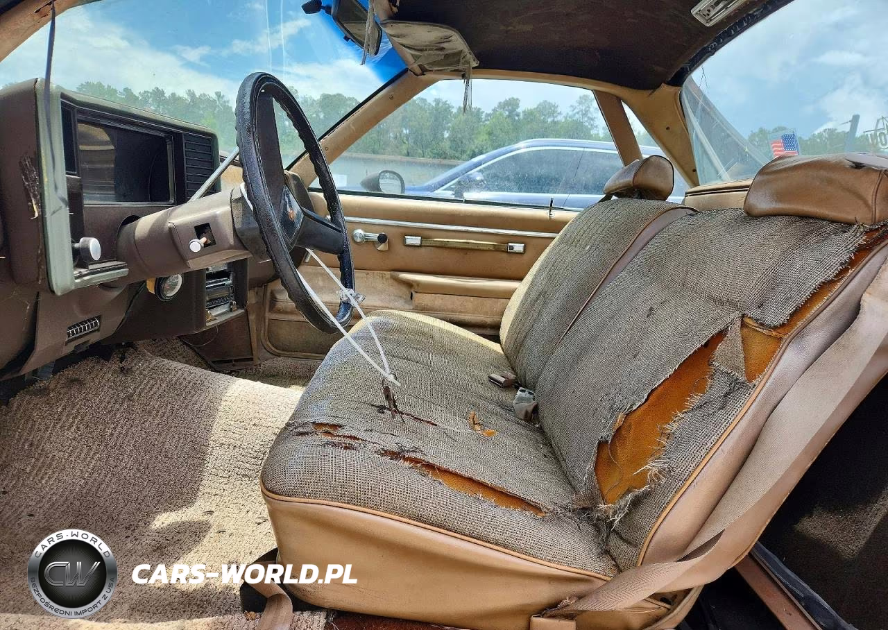 1981 Chevrolet El Camino VIN:GCCW80H4BZ429527 - 7