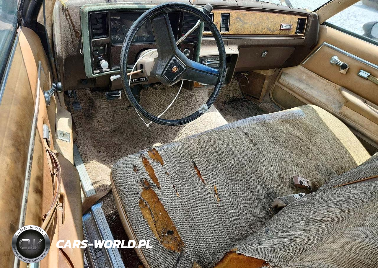 1981 Chevrolet El Camino VIN:GCCW80H4BZ429527 - 8