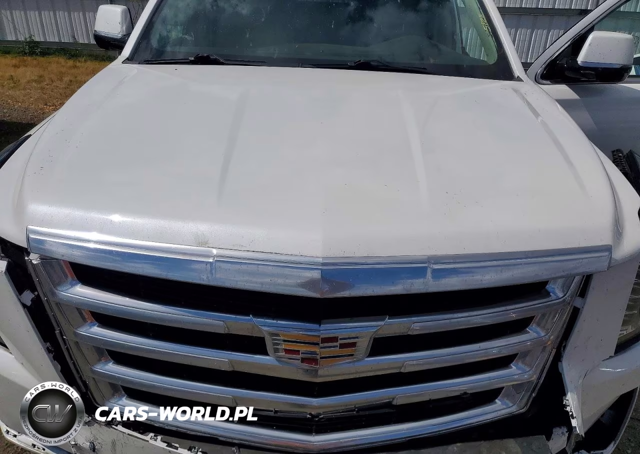2016 Cadillac Escalade Luxury VIN:1GYS4BKJ3GR464916 - 12