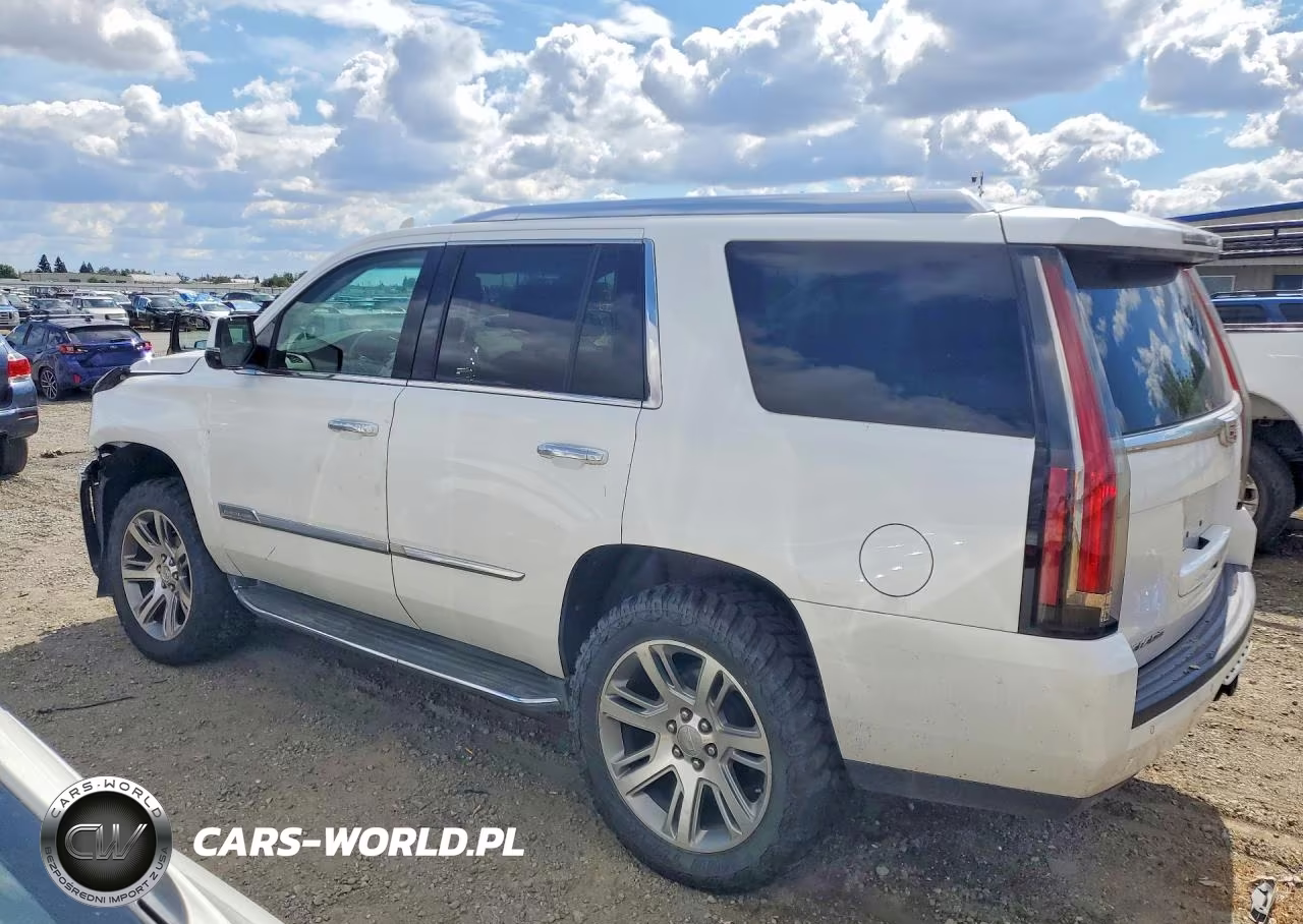 2016 Cadillac Escalade Luxury VIN:1GYS4BKJ3GR464916 - 2