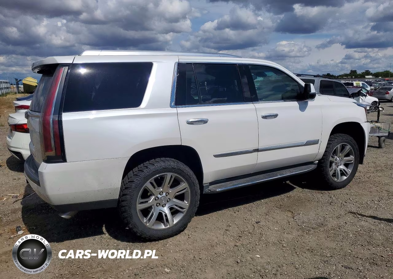 2016 Cadillac Escalade Luxury VIN:1GYS4BKJ3GR464916 - 3