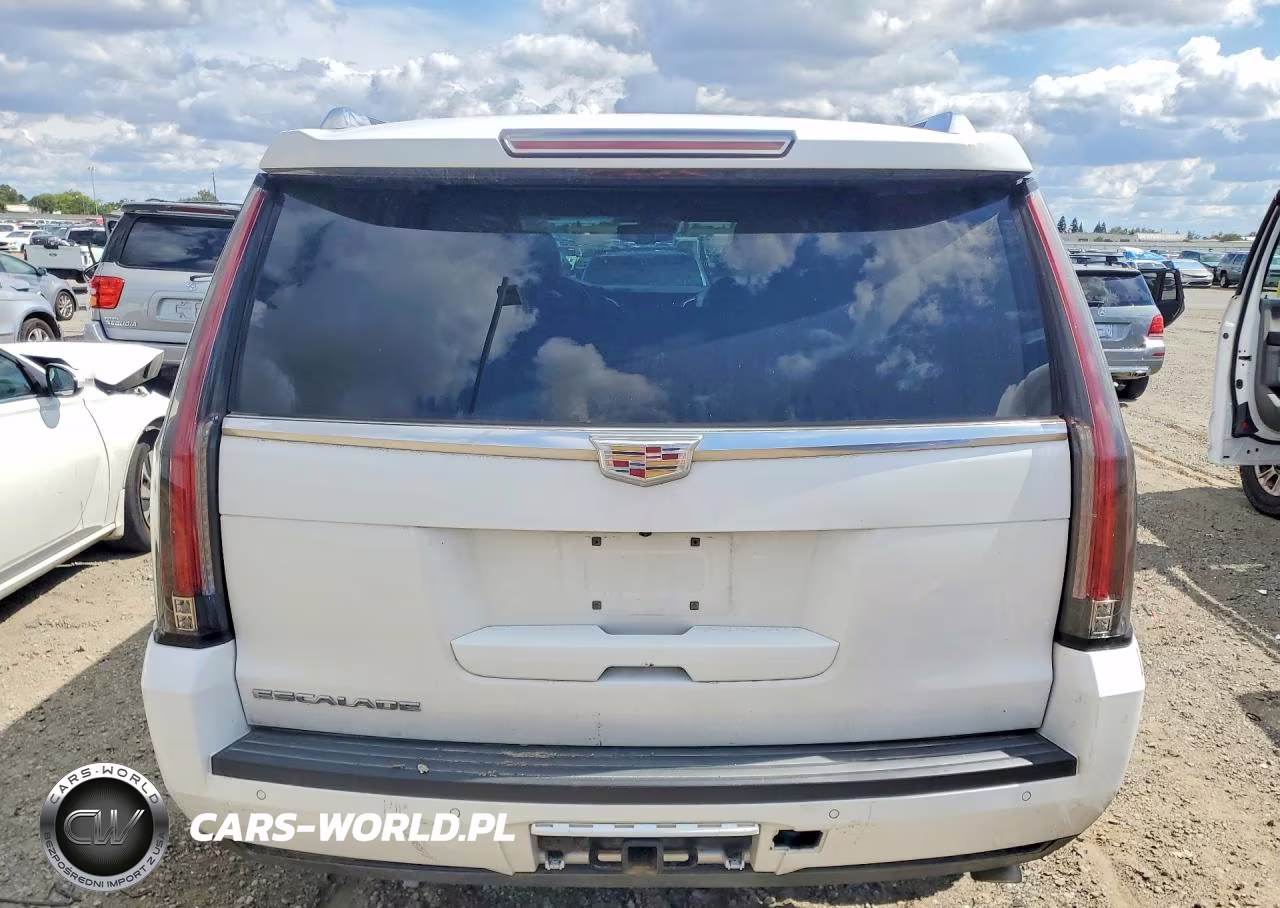 2016 Cadillac Escalade Luxury VIN:1GYS4BKJ3GR464916 - 6