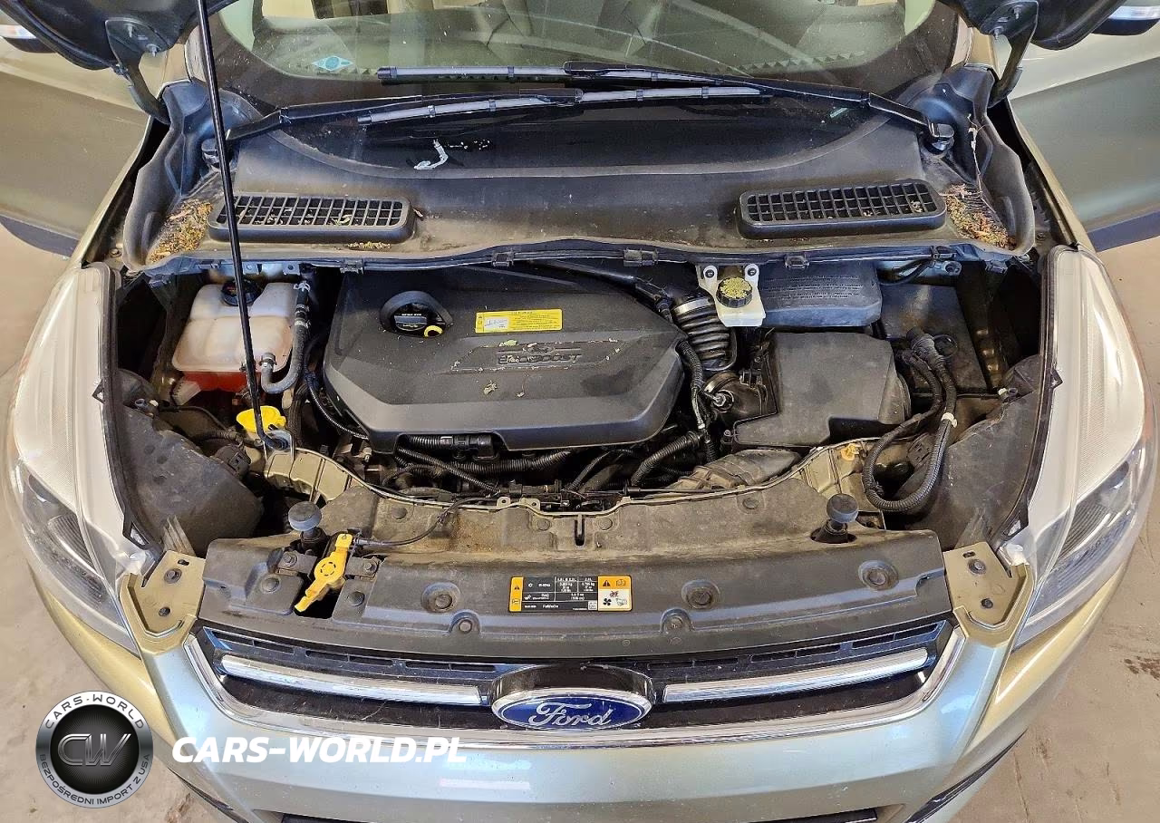 2014 Ford Escape Titanium VIN:1FMCU9JX6EUA13610 - 12