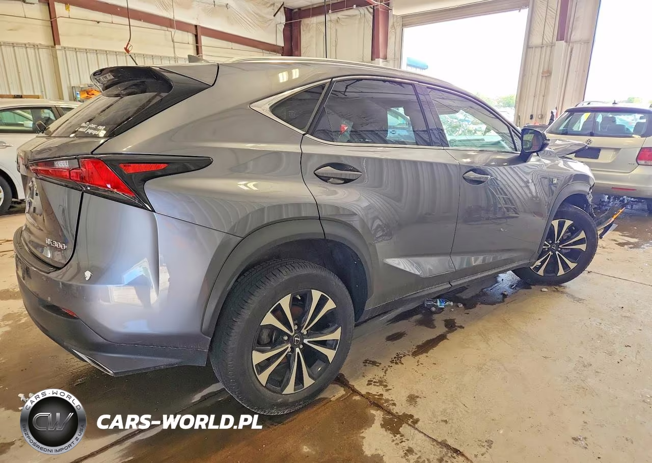2020 Lexus Nx 300 F Sport VIN:JTJSARDZ9L5007388 - 3