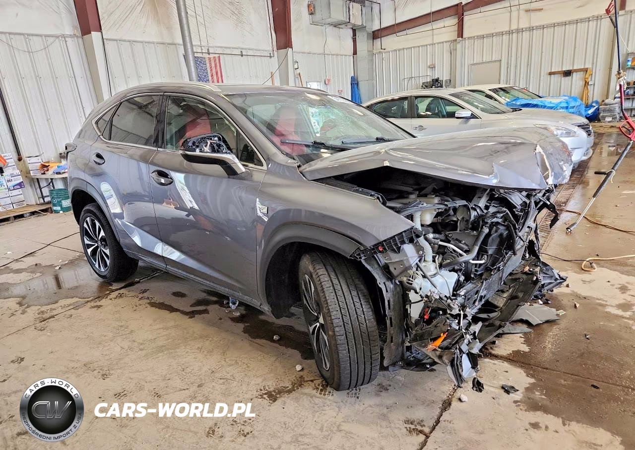 2020 Lexus Nx 300 F Sport VIN:JTJSARDZ9L5007388 - 4