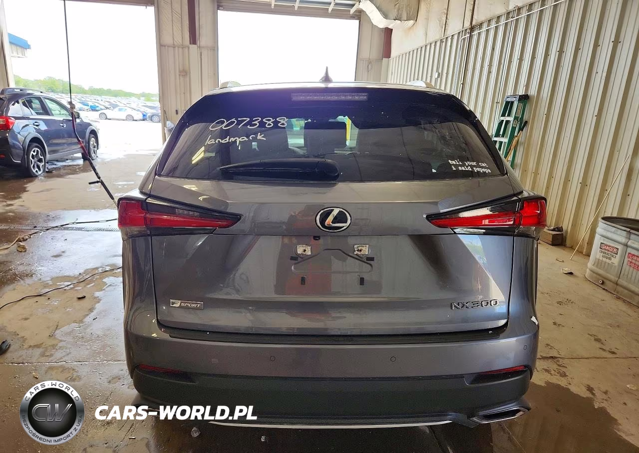 2020 Lexus Nx 300 F Sport VIN:JTJSARDZ9L5007388 - 6